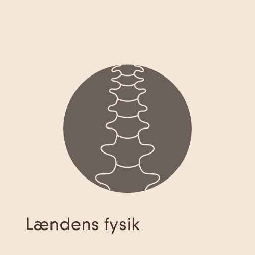 Lændens fysik