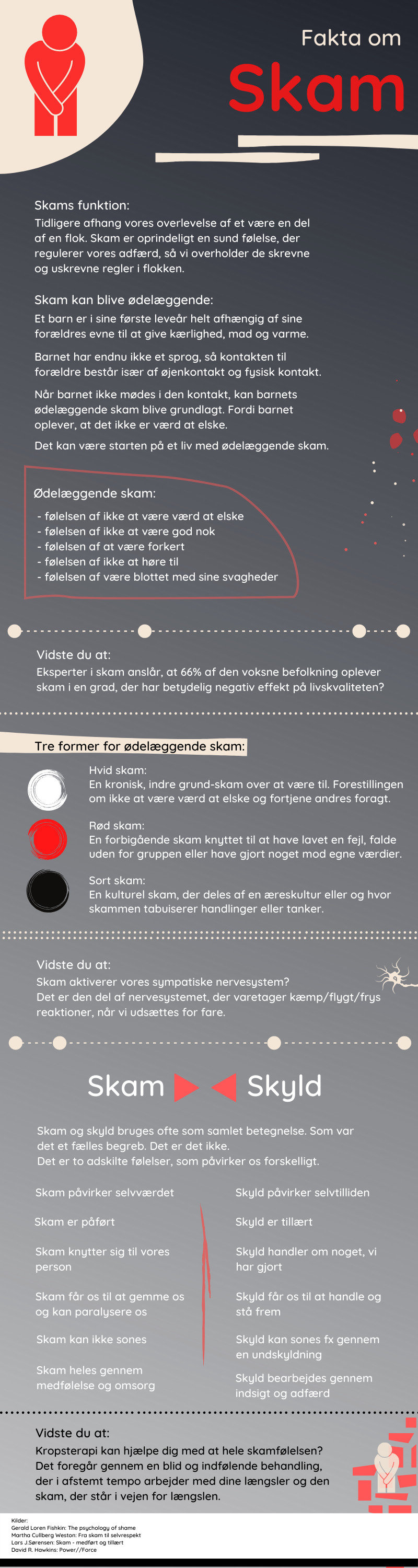 infografik skam